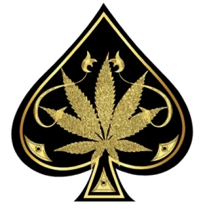 ace ultra